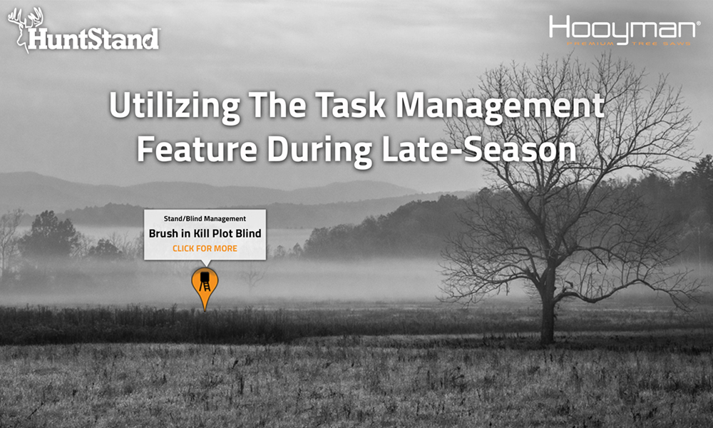 terrastride inc. internship - e-blast web graphic